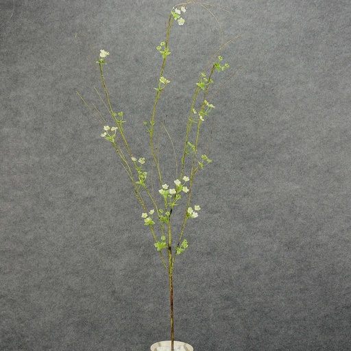 [SA5105-CGN] FLOWERING TWIG 42" CREAM/GREEN