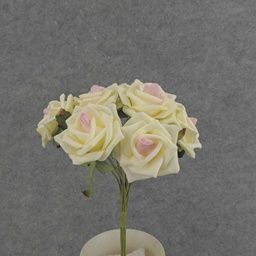 [SA6500-CPK] ROSE OPEN BUNDLE X9 10&quot;  CREAM/PINK