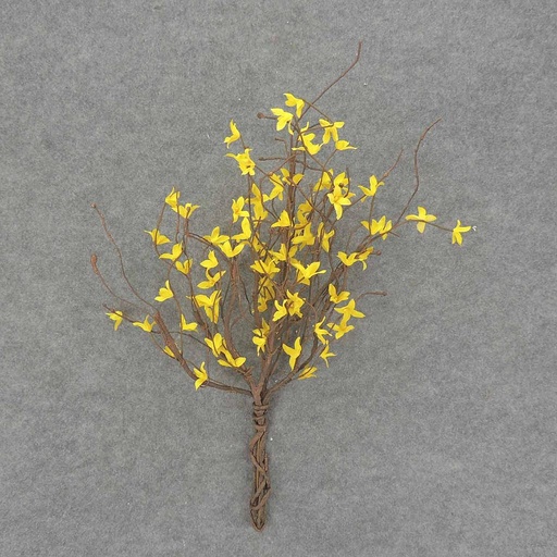 [SA7005] FORSYTHIA TWIG BUSH X9 23"