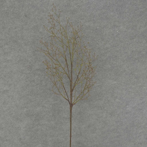 [SA7015] TWIG/LEAF SPRAY X5 38"