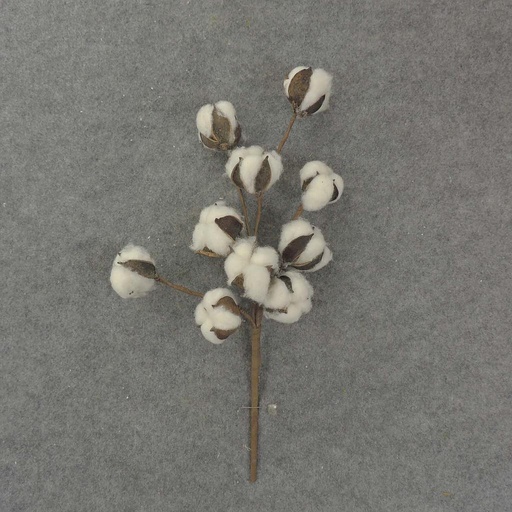 [SA7203] COTTON PICK 16" ARTIFICIAL