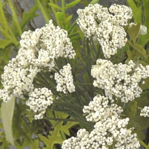 [SA8013-CRM] 40" FLOWERING TWIG SPRAY H.WRAP  CREAM