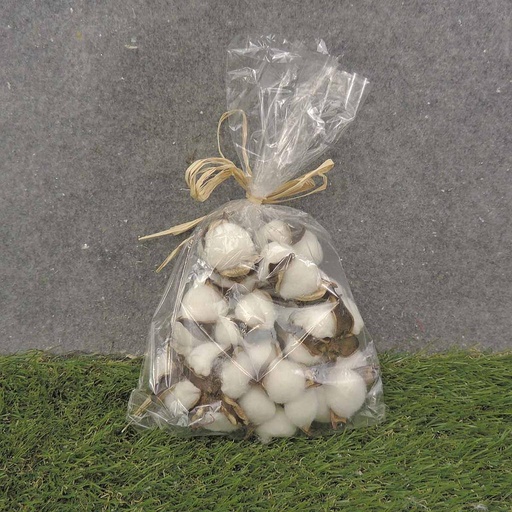 [SA9005] COTTON PODS NATURAL  (12/BAG) 