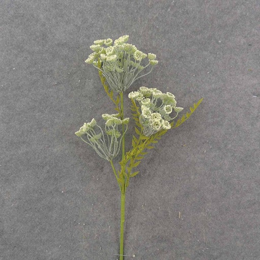 [SA9018-CRM] QUEEN ANNES LACE STEM 26" CREAM 