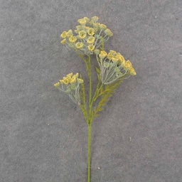 [SA9018-YEL] QUEEN ANNES LACE STEM 26" YELLOW