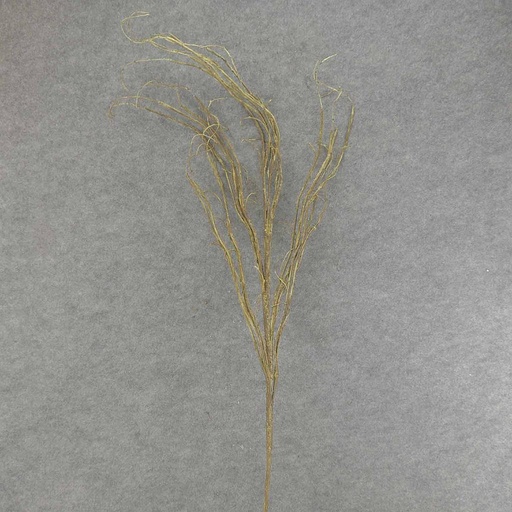 [SAF6002] TWIG SPRAY X5 50" GREEN/BROWN