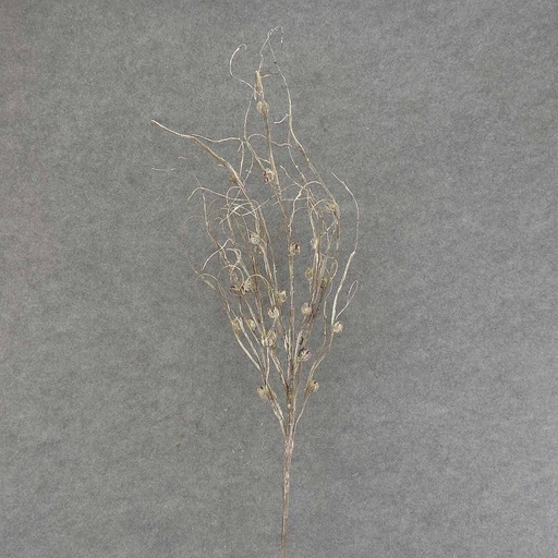 [SAF6003] TWIG SPRAY W/BUDS X7 40" WHITE/GREEN