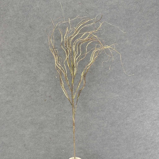 [SAF6007] TWIG SPRAY X7 37" GREEN/BROWN DARK GR