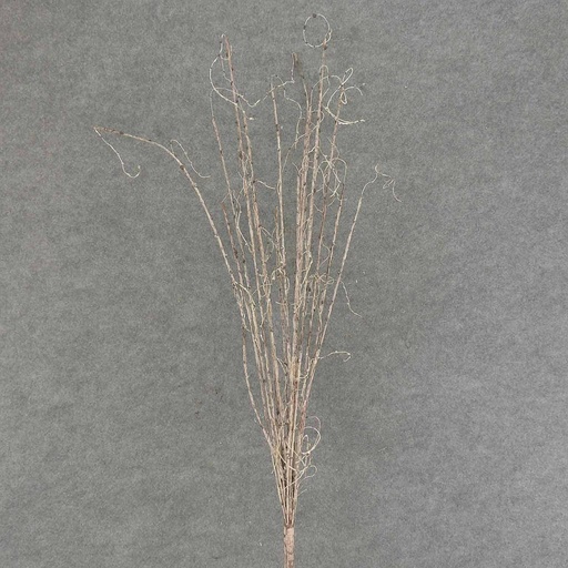 [SAF6010] TWIG SPRAY W/BUDS 43"