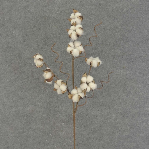 [SAF7002] COTTON/TWIG SPRAY X3 25"
