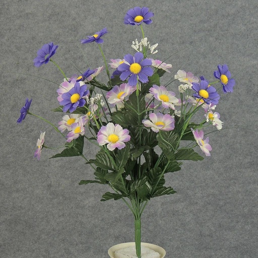 [SB104-PUR] DAISY BUSH X12 PURPLE COMBO