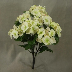 [SB106-CGN] HYDRANGEA BUSH X7 CREAM/GREEN