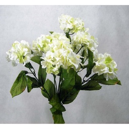 [SB17-CWH] HYDRANGEA BUSH X9 BLOOMS CRM/WH