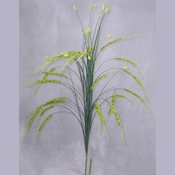 [SB19-GRN] GRASS ONION W/BUBBLEBERRIES 36&quot; (6/BAG)