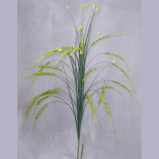 [SB19-GRN] GRASS ONION W/BUBBLEBERRIES 36" (6/BAG)