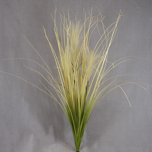 [SB21] GRASS BULRUSH BUSH 36"