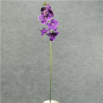 [SB3100-PUR] PHALAENOPSISx9 SPRAY 32" PURPLE