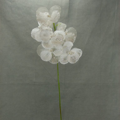 [SB3109] 35" PHALEANOPSIS W/PEARLS & MICA