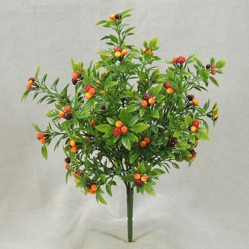 [SB327-RDO] BERRY SWEET PEA BUSH X7  RED/ORANGE