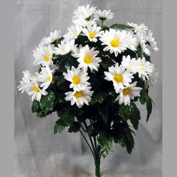 [SB394-WHT] DAISY BUSH X14   WHITE