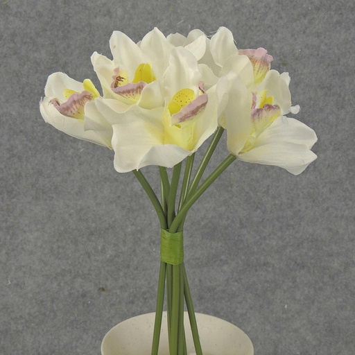 [SB399-CRM] CYMBIDIUM ORCHID BOUQUET X7  CREAM