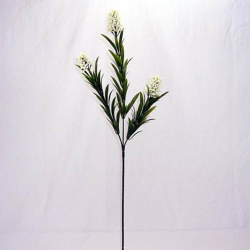 [SB4004-CRM] STAR FLOWER GRASS SPRAY 26" (6/BDL) CREAM