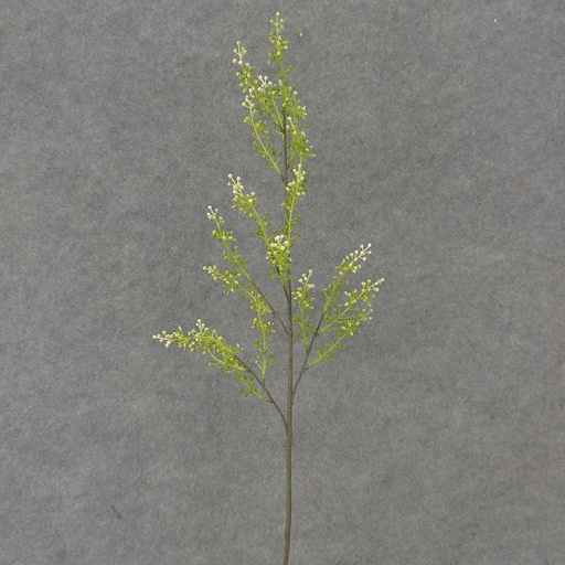 [SB4005-GRN] SEEDED FLOWER SPRAY 30" (6/BDL)  GREEN