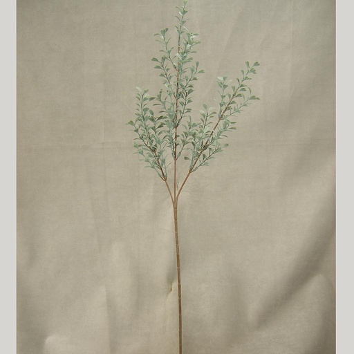 [SB4006] BOXWOOD   DUSTY GREEN (6/BDL)