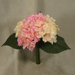[SB4020-CPK] HYDRANGEA BOUQUET X6 9&quot;  CREAM/PINK