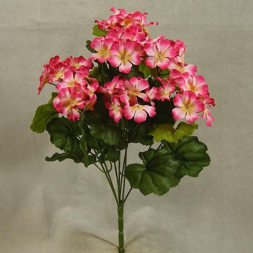 [SB4033-PNK] GERANIUM BUSH X7 18"  PINK