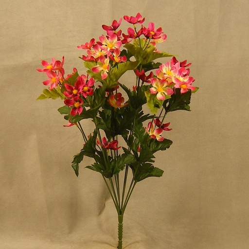 [SB4040-PNK] COSMOS BUSH X11 19"  PINK