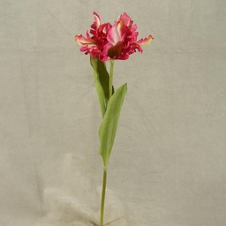 [SB4054-BTY] TULIP PARROT SPRAY 18&quot; W/2 LVS  BEAUTY