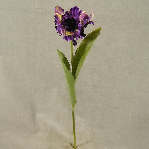 [SB4054-PUR] TULIP PARROT SPRAY 18" W/2 LVS  PURPLE