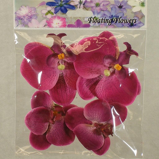 [SB4072-BEA] FLOATING PHALAENOPSIS BLOOMS (4/BAG)   BEAUTY