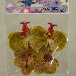 [SB4072-GRN] FLOATING PHALAENOPSIS BLOOMS (4/BAG)   GREEN