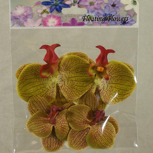 [SB4072-GRN] FLOATING PHALAENOPSIS BLOOMS (4/BAG)   GREEN