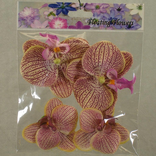 [SB4072-LAV] FLOATING PHALAENOPSIS BLOOMS (4/BAG)   LAVENDER