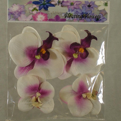 [SB4072-WHT] FLOATING PHALAENOPSIS BLOOMS (4/BAG)   WHITE