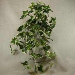 [SB4083-VAR] IVY HOLLAND BUSH 30&quot; W/111 LVS
