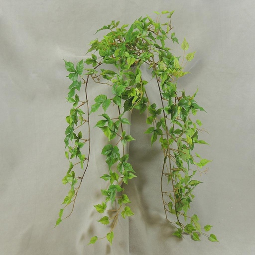[SB4091] IVY MINI GRAPE HANGING BUSH W/241 LVS