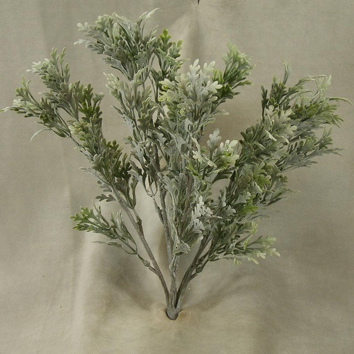 [SB4102] DUSTY MILLER FLOCKED BUSH X5