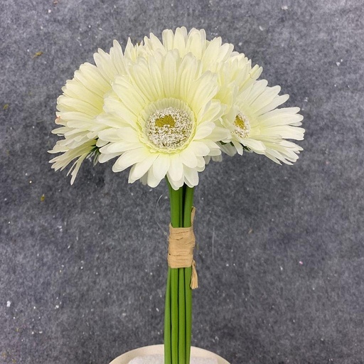 [SB4125-CWT] GERBERA DAISY BOUQUET X9 10.5"  CREAM/WHITE