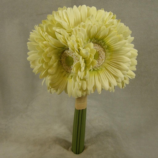 [SB4125-LGN] GERBERA DAISY BOUQUET X9 10.5"  LIGHT GREEN