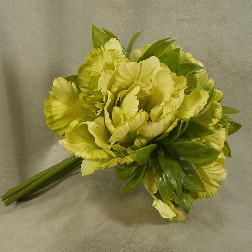 [SB4133-GRN] TULIP PARROT W/GRASS BUNDLE 10"  GREEN