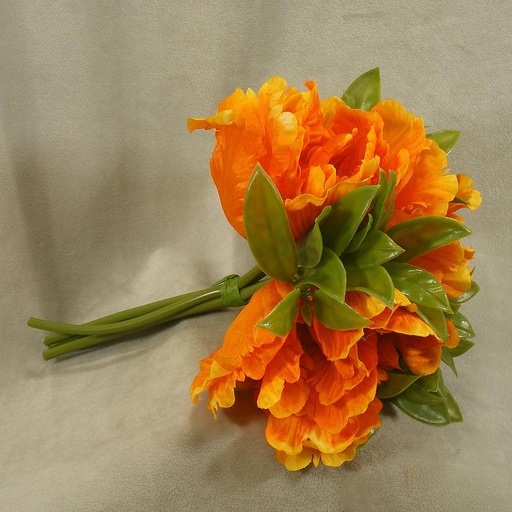 [SB4133-ORG] TULIP PARROT W/GRASS BUNDLE 10"  ORANGE