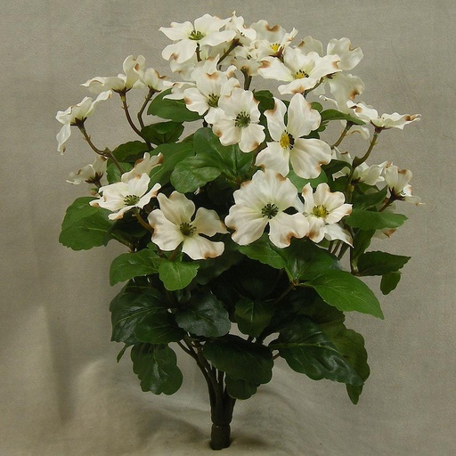 [SB4135-CRM] DOGWOOD BUSH X15 16"