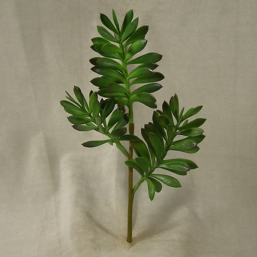 [SB4148] SUCCULENT PLASTIC PICK 15.5"
