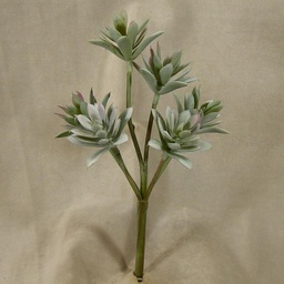 [SB4154] SUCCULENT 12&quot; PICK