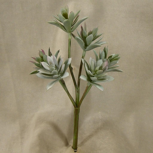 [SB4154] SUCCULENT 12" PICK
