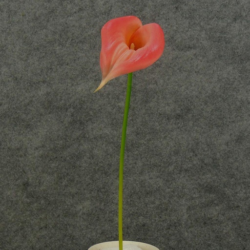 [SB4166M-BPK] CALLA LILY MEDIUM  16" STEM  BEAUTY/PINK
